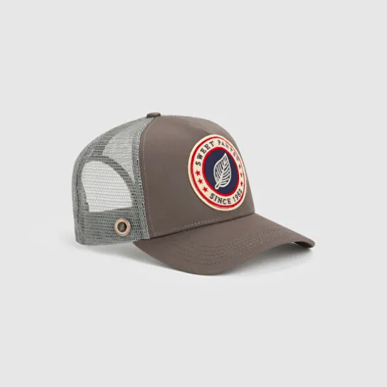 BASIC CT CAP CEMENT