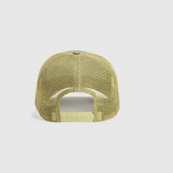 BASIC CT CAP SAGE