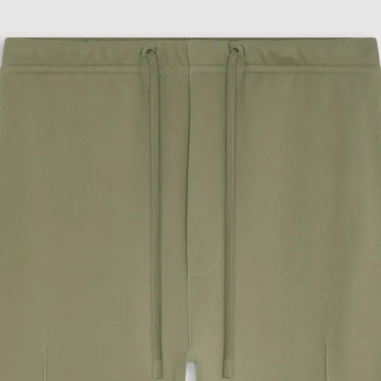 CLASSY PANT SAGE