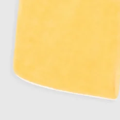 SPONGE BERMUDA GOLDEN